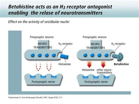 beta histine|Betahistine: Uses, Interactions, Mechanism of Action .
